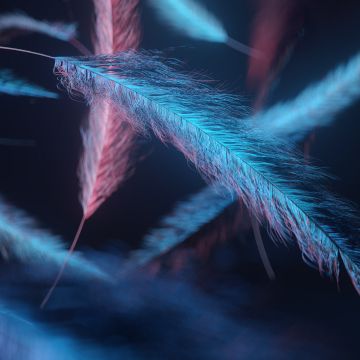 Feathers, Macro, Dark background, Blue light, Digital illustration, Dark aesthetic