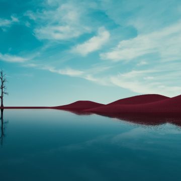 Lone tree, Lake, Dry fields, Clear sky, Reflections, Landscape, Summer, Fusion