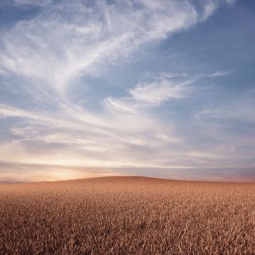 Evening, Dusk, Landscape, Dry fields