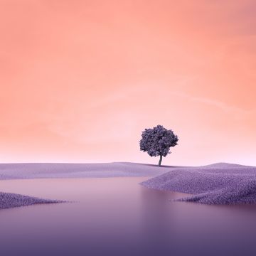 Lone tree, Surreal, Landscape, Spring, Lake, Digital composition, Purple aesthetic