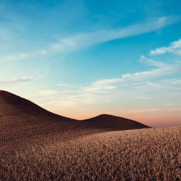 Dry fields, Sunny day, Summer, Landscape