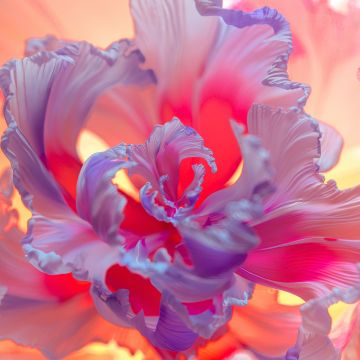 Purple Flower, Floral Background, Colorful, Digital Art