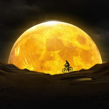 Bicycle, Dream, Moon, Night, Silhouette, Yellow, Surreal, Desert