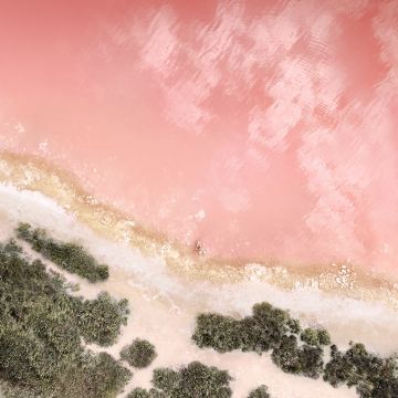 Beach, Baby pink, Seashore, Aerial view, iOS 10, Stock