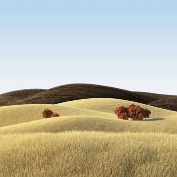 Landscape, Countryside, Wheat field, Sunny day, Vivo Pad, Stock, Summer