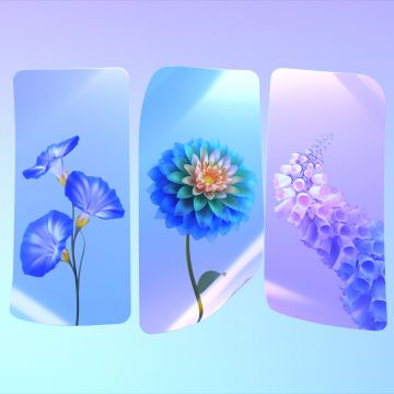 Spring flowers, Colorful flowers, Gradient background, Seasons