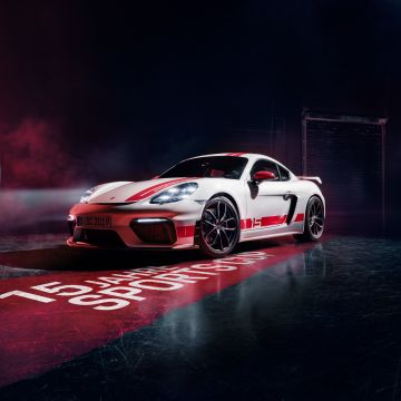 Porsche 718 Cayman GT4, Sports cars