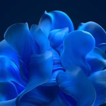 Windows 11, Blue aesthetic, Bloom collection, Blue background, Blue abstract, 5K, 8K
