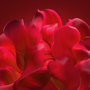 Windows 11, Bloom collection, Red background, Red abstract, Red aesthetic