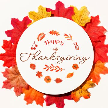 Happy Thanksgiving, Fall, Thanksgiving Day, Autumn leaves, White background