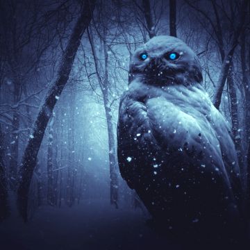 Owl, Forest, Winter, Dark, Night, Blue eyes, Scary, Snowfall, 5K