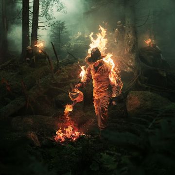 Burning Man, Fire, Forest, Stuntman, Photo Manipulation, Photoshop