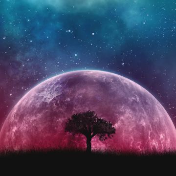 Lone tree, Planet, Surreal, Night, Silhouette, Starry sky, 5K