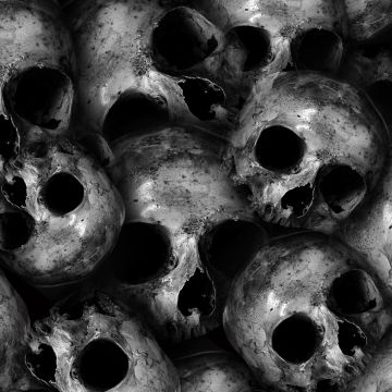 Skulls, Scary, Monochrome, 5K, Black and White