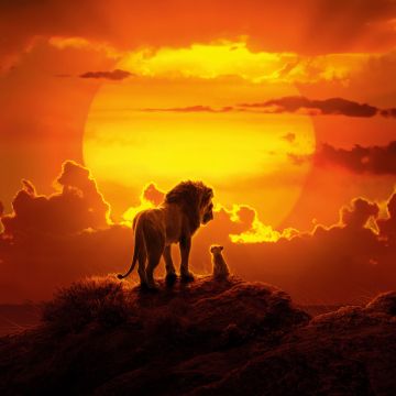 The Lion King, Simba, Mufasa, Lion cub, Animation