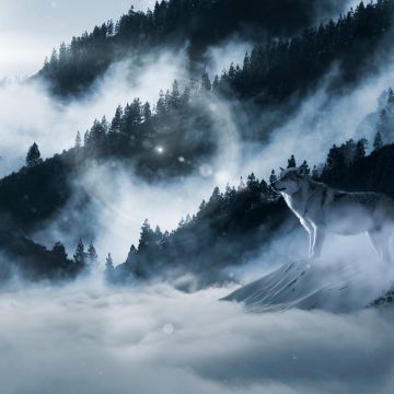 Arctic wolf, Winter, White wolf, Sunny day, Winter forest, Foggy, Mountains, 5K