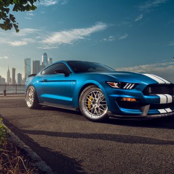 Ford Mustang Shelby GT350, 8K, Muscle sports cars, 5K