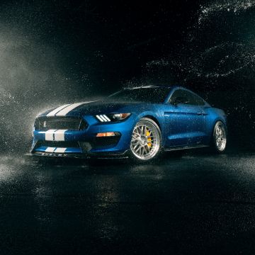 Ford Mustang Shelby GT350, Muscle sports cars, Dark background