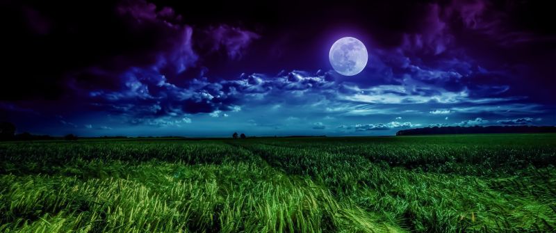 Moon, Landscape, Night, Field, Cloudy