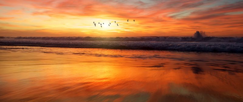 Beach, Sunset, Flying birds, Waves, 5K