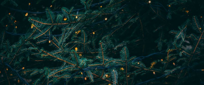 Pine trees, Decoration, LED lights, Christmas decoration, 5K, Aesthetic Christmas, Navidad, Noel