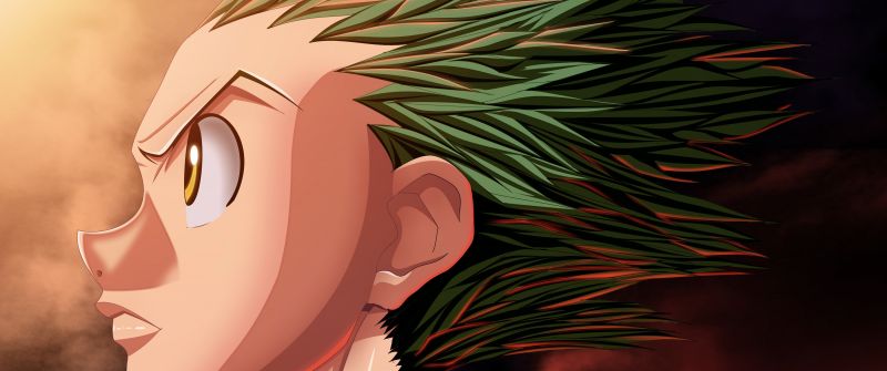 Gon Freecss, Hunter x Hunter, Manga series