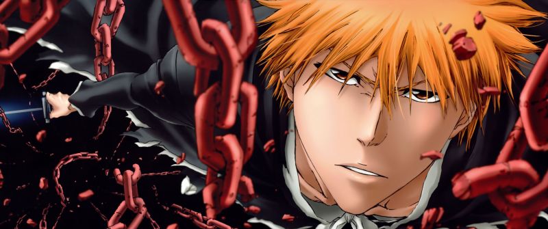 Ichigo Kurosaki, Panoramic, Bleach