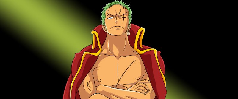 Roronoa Zoro, Pirate Hunter, One Piece