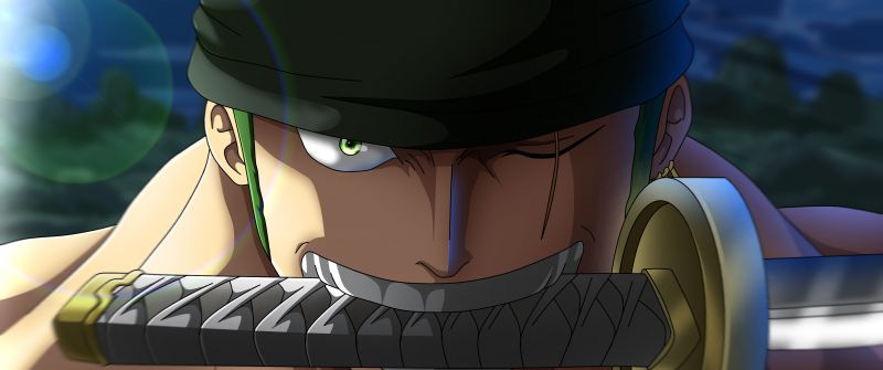 Roronoa Zoro, Katana, Wado Ichimonji, One Piece