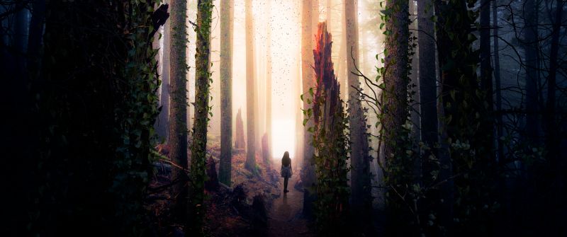 Girl, Alone, Forest, Mystic, Surreal, Portal, Dream