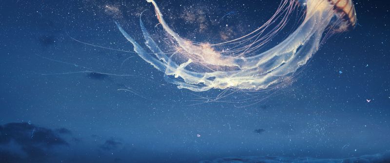 Jellyfish, Dream, Surreal, Night sky, Alone