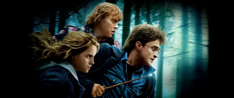 Harry Potter and the Deathly Hallows Part 1, Daniel Radcliffe as Harry Potter, Emma Watson as Hermione Granger, Ron Weasley