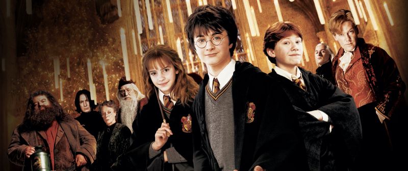 Harry Potter and the Chamber of Secrets, Daniel Radcliffe as Harry Potter, Emma Watson as Hermione Granger, Ron Weasley