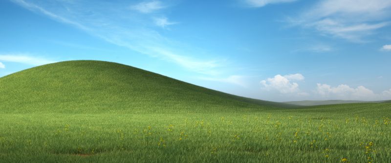 Windows XP, Landscape, Nostalgic, Grass field