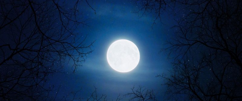 Cold, Moon, Night, Trees, Blue Sky, Full moon