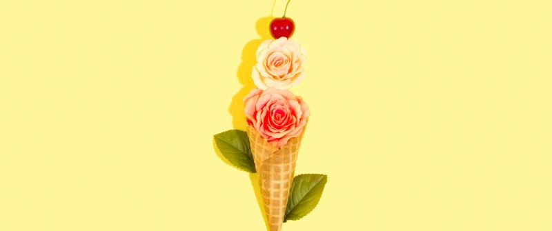 Rose flowers, Ice cream cone, Yellow background, Cherry fruits, Leaves, 5K