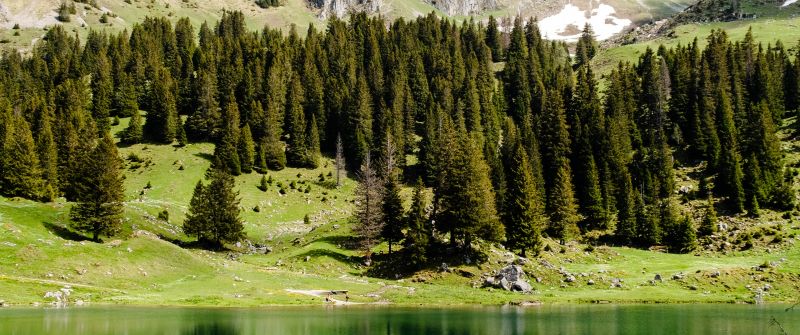 Gantrischseeli lake, Pine trees, Spring, Reflection, Mountain, Peak, Switzerland