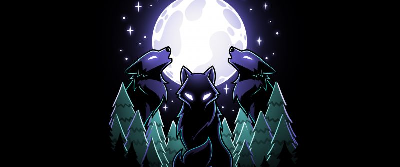 Wolves, Full moon, Night, Howling wolf, 5K, 8K, Black background