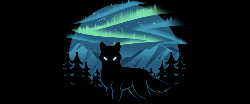 Wolf, Aurora Borealis, Black background, 5K, 8K