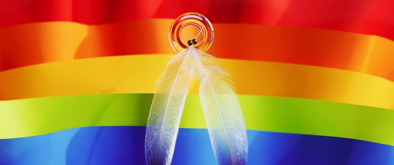 Ribbons, Rainbow, LGBTQ, Pride, Feathers, Colorful background