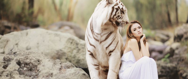 White tiger, Asian Woman, Friends, Wild, Dream