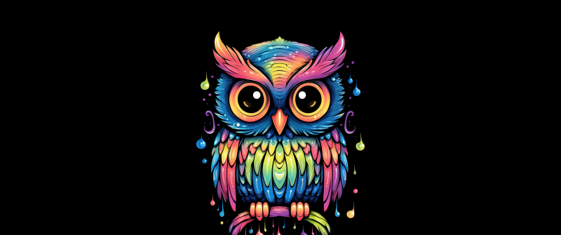 Colorful Owl, Cute art, AMOLED, 8K, Cute bird, Kawaii, Black background, Digital Art, 5K
