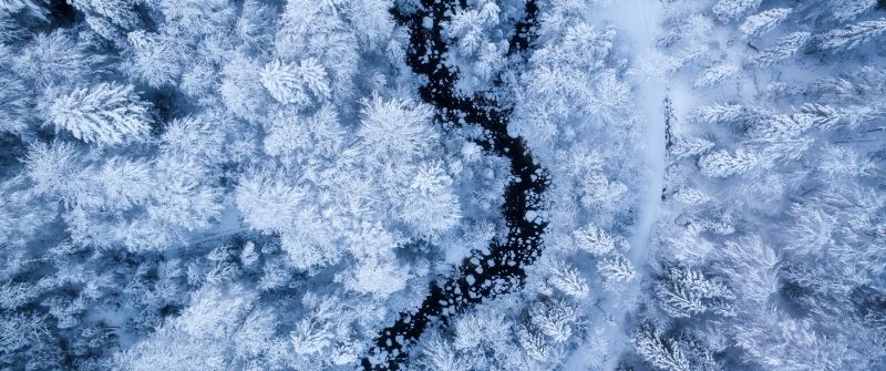 Winter forest, Aerial view, Snow covered, Water Stream, White aesthetic, Cold