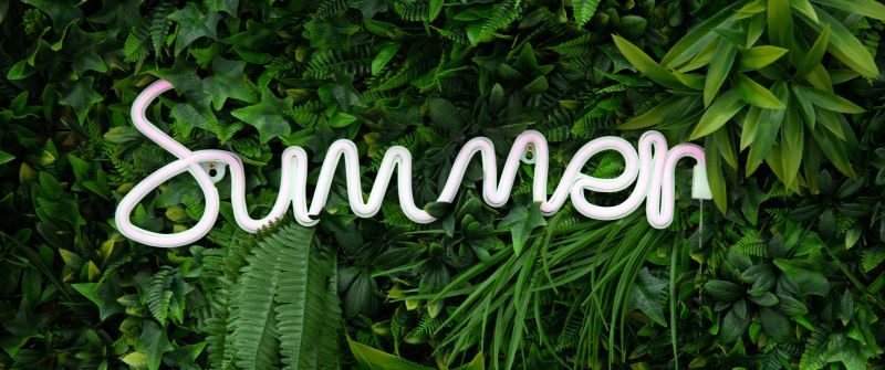 Summer, Neon sign, Green aesthetic, Plants, Ferns, 5K