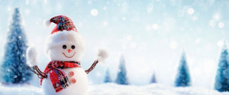 Christmas special, Snowman, Winter, Santa hat, Snowfall, 5K, Navidad, Noel