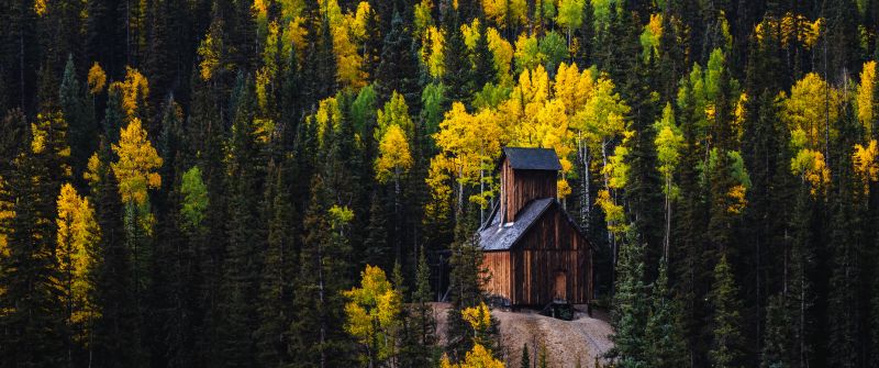 Colorado Boy Mine, Wooden cabin, Red Mountain Pass, 5K, Autumn, Pine trees