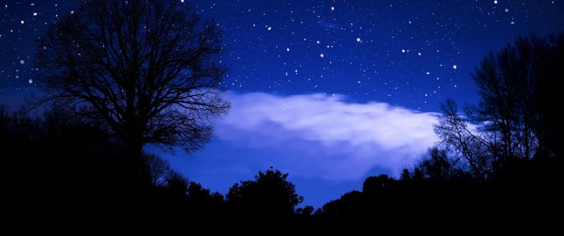 Stars in sky, Dark blue, Silhouette, Night sky, 5K, Winter sky