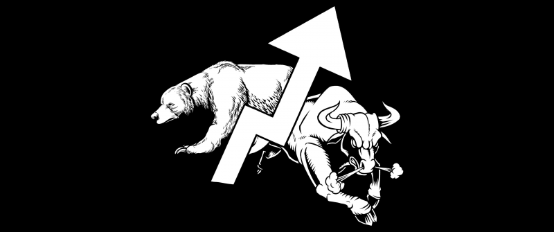 Bear, Bull, Stock Market, Trading, Black background, AMOLED, Upward, Trend