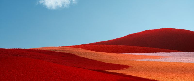 Red Grass, Landscape, Grass field, Clear sky, Blue Sky, Microsoft Surface Pro X, Stock