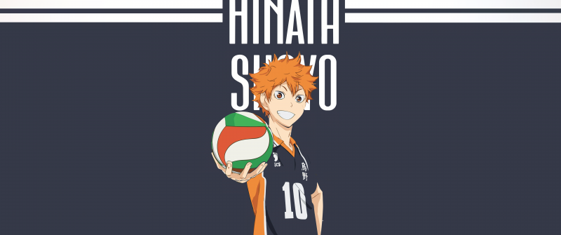 Shoyo Hinata, 8K, Minimalist, Haikyuu, Volleyball, Grey background, 5K